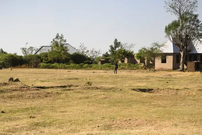 DSC_2704 (Large).JPG